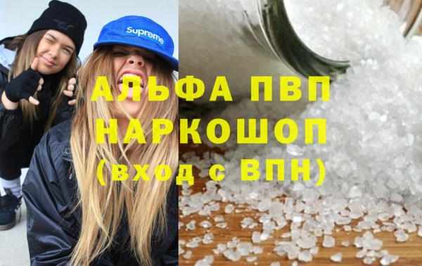 амф Верея