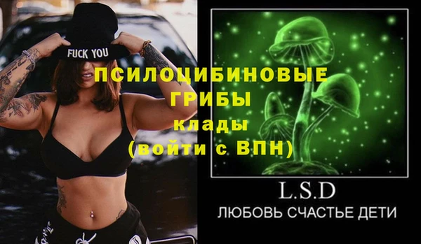 СК Верхний Тагил