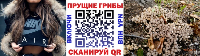 нарко площадка как зайти  Емва  Галлюциногенные грибы ЛСД  МЕГА ССЫЛКА 
